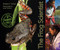 The Frog Scientist by Pamela S. Turner, Andy Comins, 9780547576985