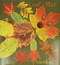 Leaf Man by Lois Ehlert, 9780152053048