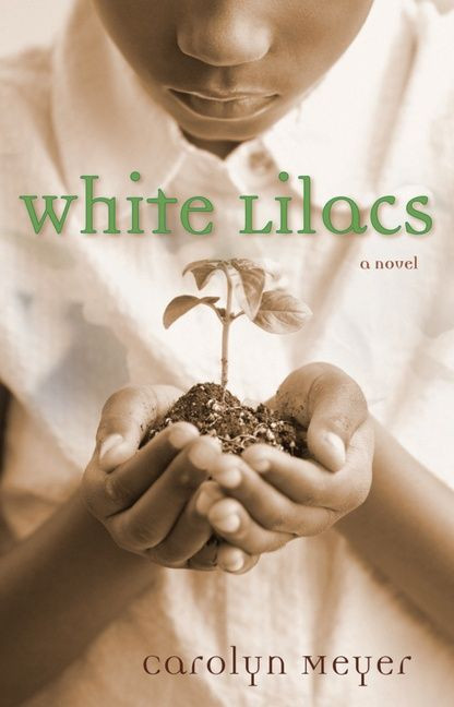 White Lilacs by Carolyn Meyer, 9780152058517