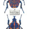 The Beetle Book by Steve Jenkins, 9780547680842