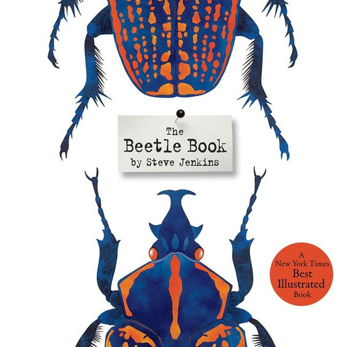 The Beetle Book by Steve Jenkins, Steve Jenkins, 9780547680842