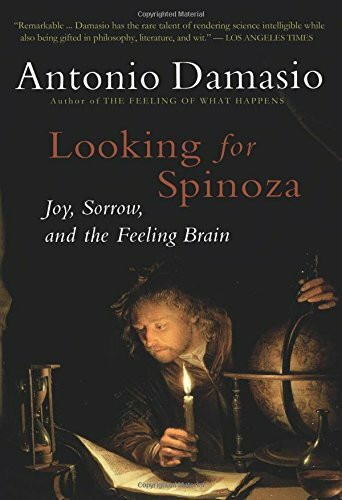Looking for Spinoza (Joy, Sorrow, and the Feeling Brain) by Antonio Damasio, 9780156028714