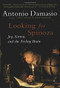 Looking for Spinoza (Joy, Sorrow, and the Feeling Brain) by Antonio Damasio, 9780156028714