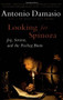 Looking for Spinoza (Joy, Sorrow, and the Feeling Brain) by Antonio Damasio, 9780156028714