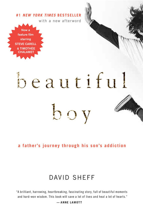 Beautiful Boy (A Father's Journey Through His Son's Addiction) by David Sheff, 9780547203881