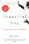 Beautiful Boy (A Father's Journey Through His Son's Addiction) by David Sheff, 9780547203881