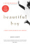 Beautiful Boy (A Father's Journey Through His Son's Addiction) by David Sheff, 9780547203881