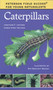Caterpillars by Karen Stray Nolting, Amy Bartlett Wright, 9780395979457