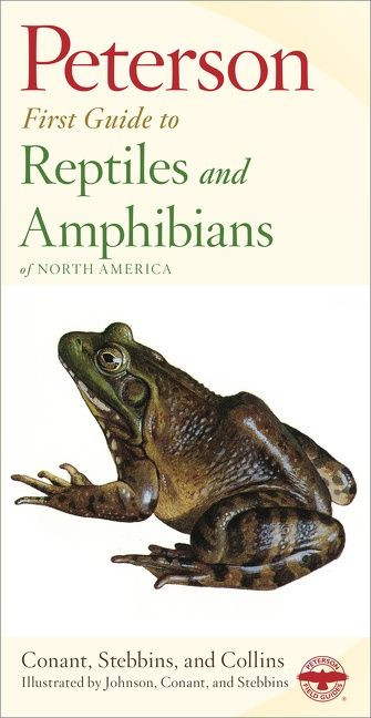 Peterson First Guide To Reptiles And Amphibians by Robert C. Stebbins, Roger Tory Peterson, Roger Conant, 9780395971956
