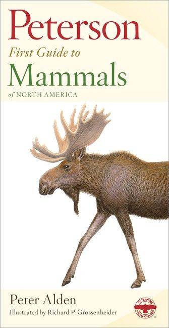 Peterson First Guide To Mammals Of North America by Peter Alden, Richard Philip Grossenheider, 9780395911815