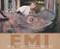 Emi and the Rhino Scientist by Mary Kay Carson, Tom Uhlman, 9780547408507