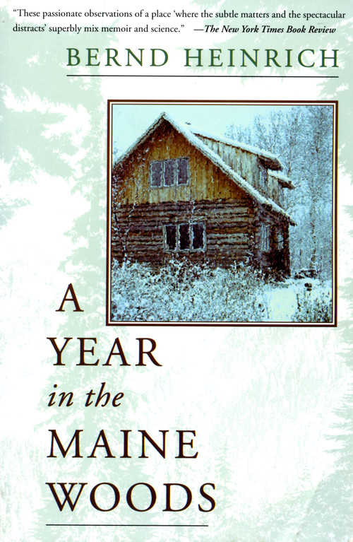 A Year In The Maine Woods by Bernd Heinrich, 9780201489392
