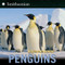 Penguins - 9780064462211 by Seymour Simon, 9780064462211