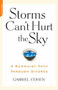 The Storms Can't Hurt the Sky (The Buddhist Path through Divorce) by Gabriel Cohen, 9781600940507