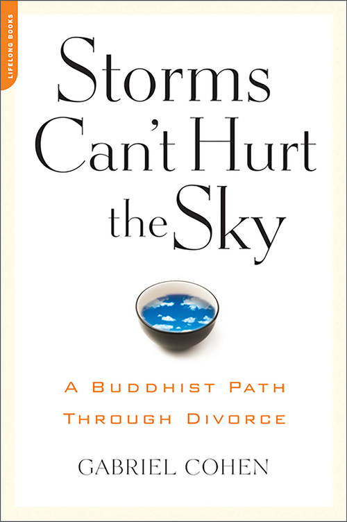 The Storms Can't Hurt the Sky (The Buddhist Path through Divorce) by Gabriel Cohen, 9781600940507