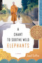 A Chant to Soothe Wild Elephants by Jaed Coffin, 9780306815263