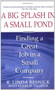 A   Big Splash in a Small Pond (Finding a Great Job in a Small Company) by Linda Resnick, 9780671798079