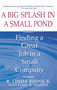 A   Big Splash in a Small Pond (Finding a Great Job in a Small Company) by Linda Resnick, 9780671798079