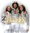 The Bee Gees (The Biography) by David N. Meyer, 9780306820250