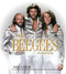 The Bee Gees (The Biography) by David N. Meyer, 9780306820250