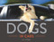 Dogs in Cars by Lara Jo Regan, 9781581572797
