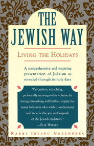 The Jewish Way (Living the Holidays) by Irving Greenberg, 9780671873035