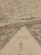 Wind Says (Chinese Edition) by Bai Hua, Fiona Sze-Lorrain, 9780983297062