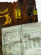 I Could See Everything (The Paintings of Margaux Williamson) by Margaux Williamson, 9781552452936