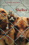 Shelter by Carey Salerno, 9781882295722