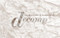 Decomp by Stephen Collis, Jordan Scott, 9781552452820