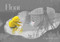 Float by Daniel Miyares, Daniel Miyares, 9781481415248