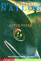 Witch Water by Phyllis Reynolds Naylor, 9780689853166