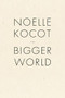 The Bigger World by Noelle Kocot, 9781933517520