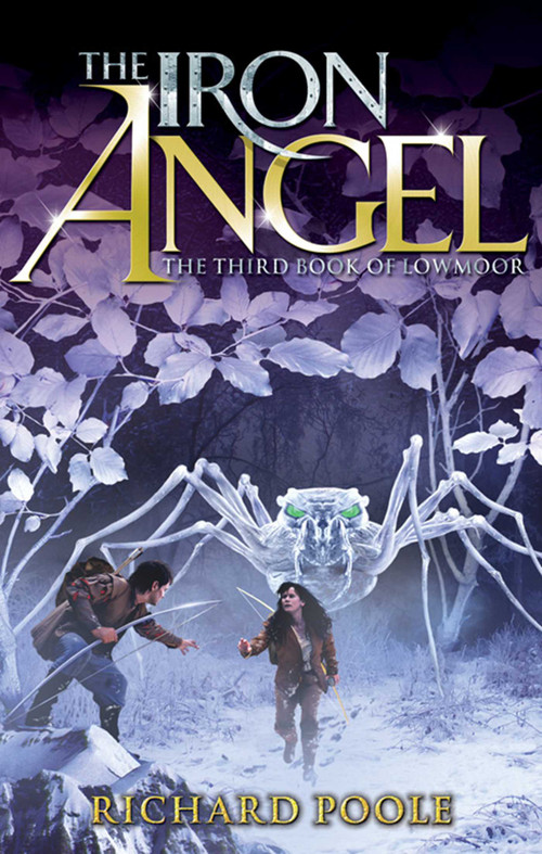 The Iron Angel by Richard Poole, 9780689875502