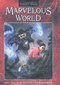 The Marvelous Effect by Troy CLE, 9781416939580
