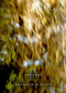 Trapeze by Deborah Digges, 9780375710216