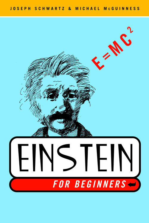 Einstein for Beginners by Joseph Schwartz, Michael McGuinness, 9780375714597