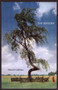 The Seasons by Merrill Gilfillan, 9780970625052