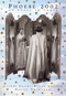 Phoebe 2002 (An Essay in Verse) by David Trinidad, 9781885586896