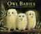 Owl Babies Big Book ((A Comforting Large Format Read-Aloud Story about Separation Anxiety, Big Feelings, and Missing Mom for Preschoolers)) by Martin Waddell, Patrick Benson, 9780763612832