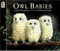 Owl Babies by Martin Waddell, Patrick Benson, 9780763617103