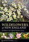 Wildflowers of New England by Ted Elliman, Native Plant Trust, 9781604694642