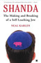 Shanda (The Making and Breaking of a Self-Loathing Jew) by Neal Karlen, 9780743266314