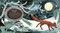 Outside Your Window (A First Book of Nature) by Nicola Davies, Mark Hearld, 9780763655495