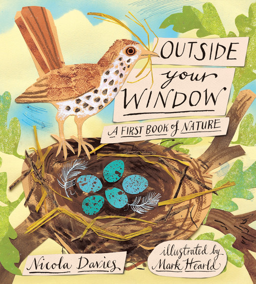 Outside Your Window (A First Book of Nature) by Nicola Davies, Mark Hearld, 9780763655495