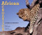 African Acrostics (A Word in Edgeways) by Avis Harley, Deborah Noyes, 9780763658182