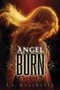 Angel Burn - 9780763658465 by L.A. Weatherly, 9780763658465