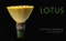Lotus by Allan Baillie, Kaz Tanahashi, 9780861712779