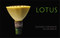 Lotus by Allan Baillie, Kaz Tanahashi, 9780861712779