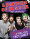 5 Seconds of Summer (100% Unofficial) by Imogen Williams, 9781481443654